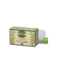 VOLLMERS präparierter grüner Hafertee Filterbeutel